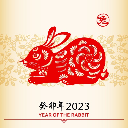 中國新年兔.jpg
